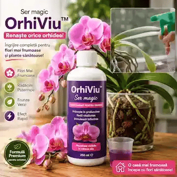 Ser magic OrhiViu - Renaște orice orhidee