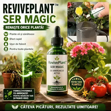 Ser Magic RevivePlant - Renaște orice plantă
